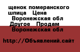 щенок померанского шпица › Цена ­ 16 000 - Воронежская обл. Другое » Продам   . Воронежская обл.